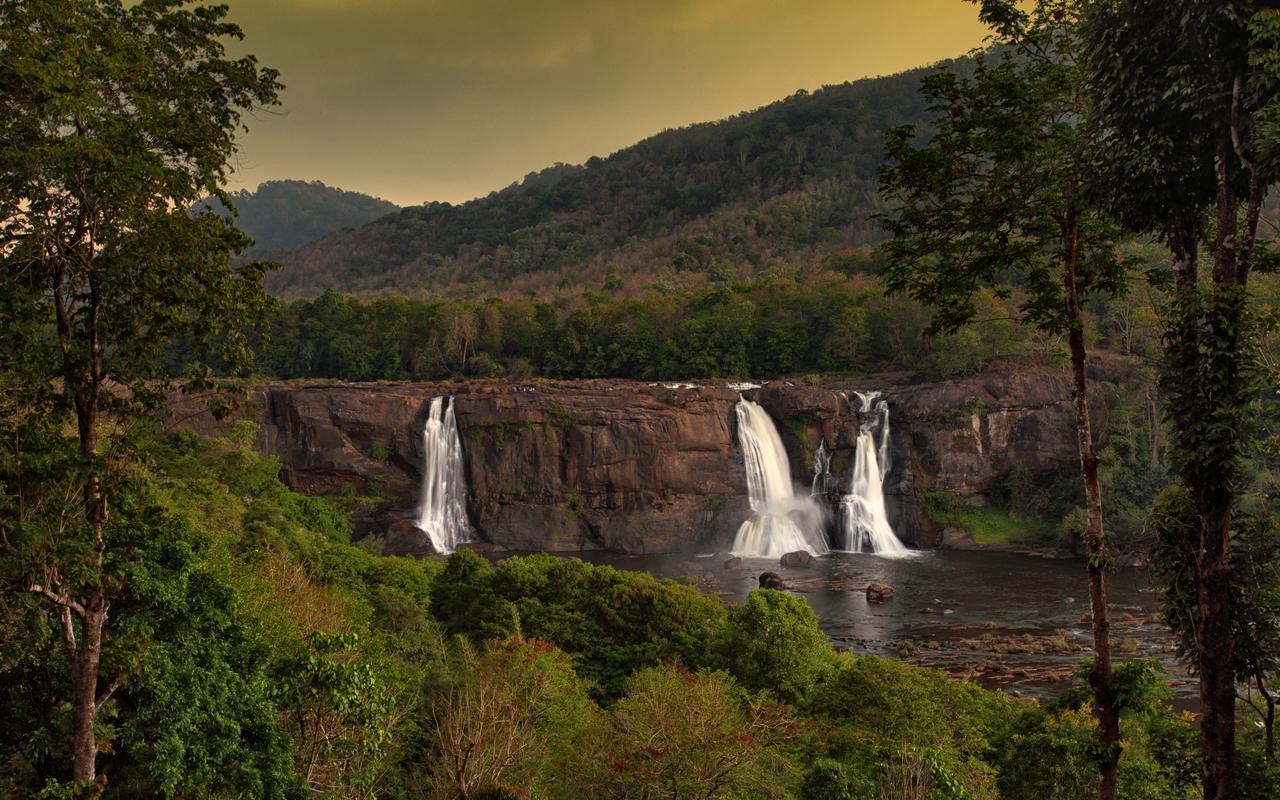 Rainforest Resort Athirappilly Extérieur photo