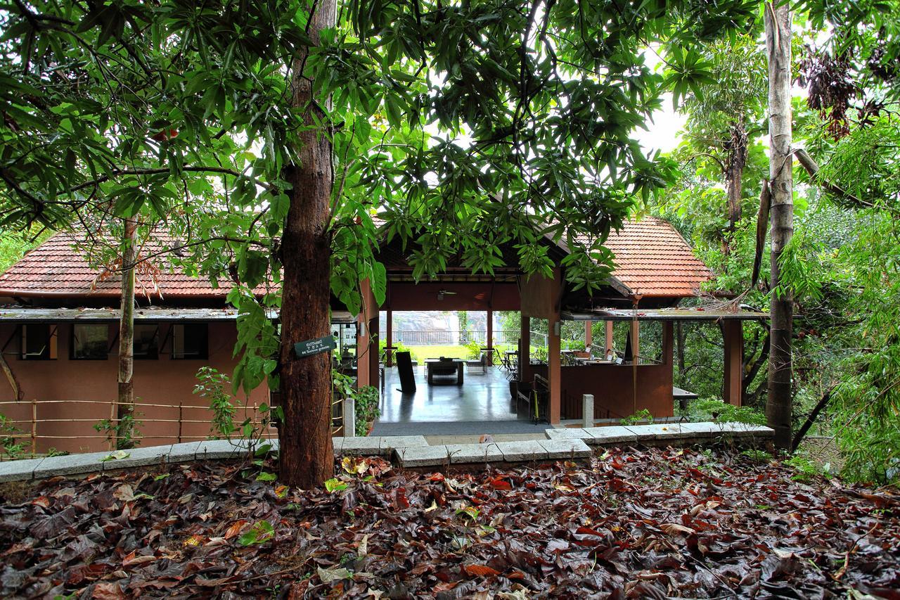 Rainforest Resort Athirappilly Extérieur photo